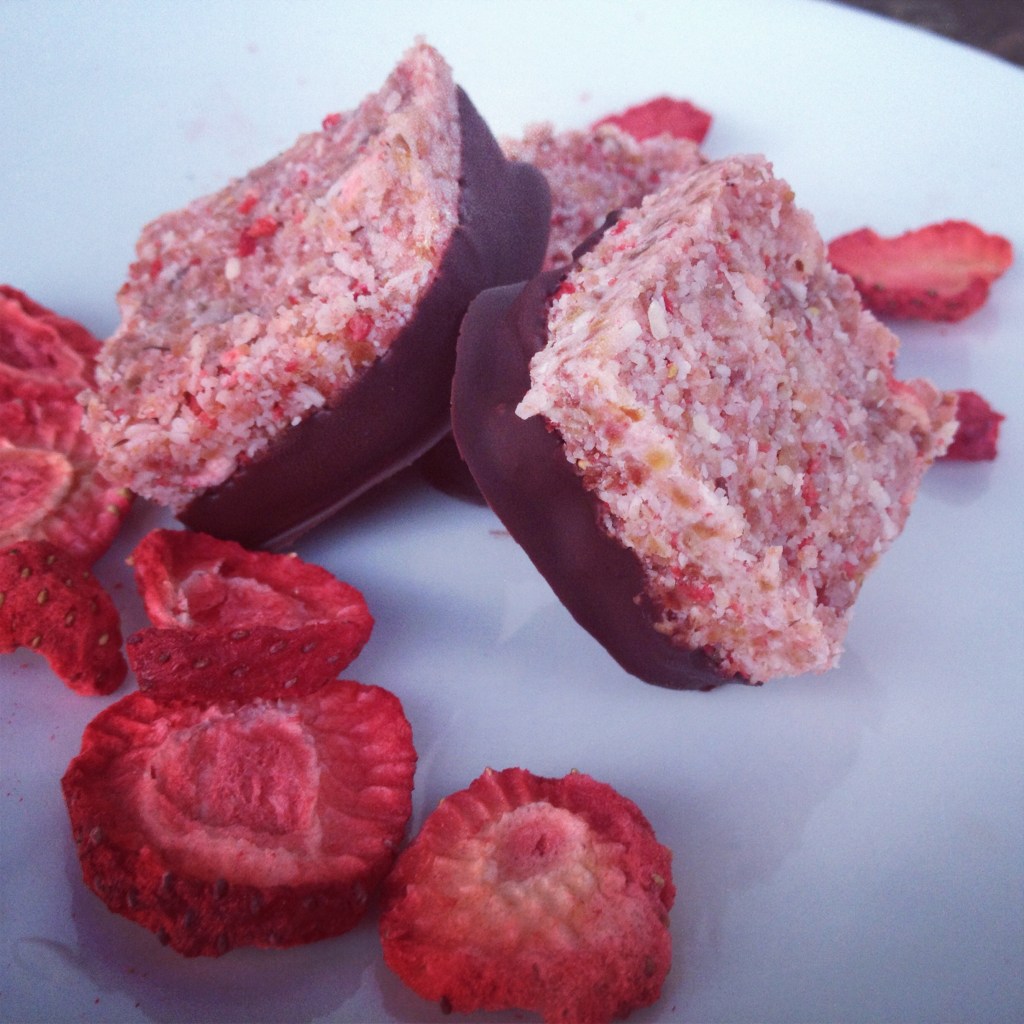 Chocolate Dipped Strawberry Coconut&nbsp;Bars