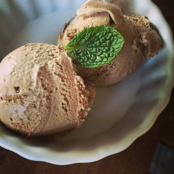 Chocolate Mint Ice Cream