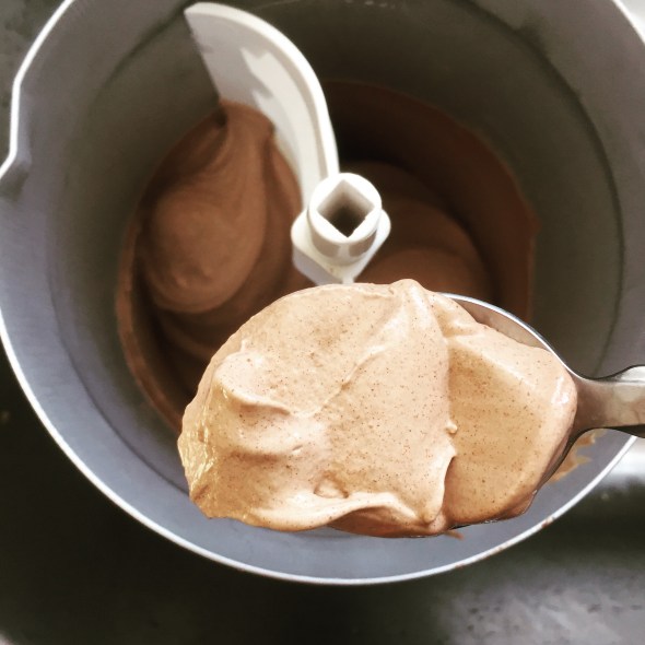 Mayan Chocolate Ice Cream