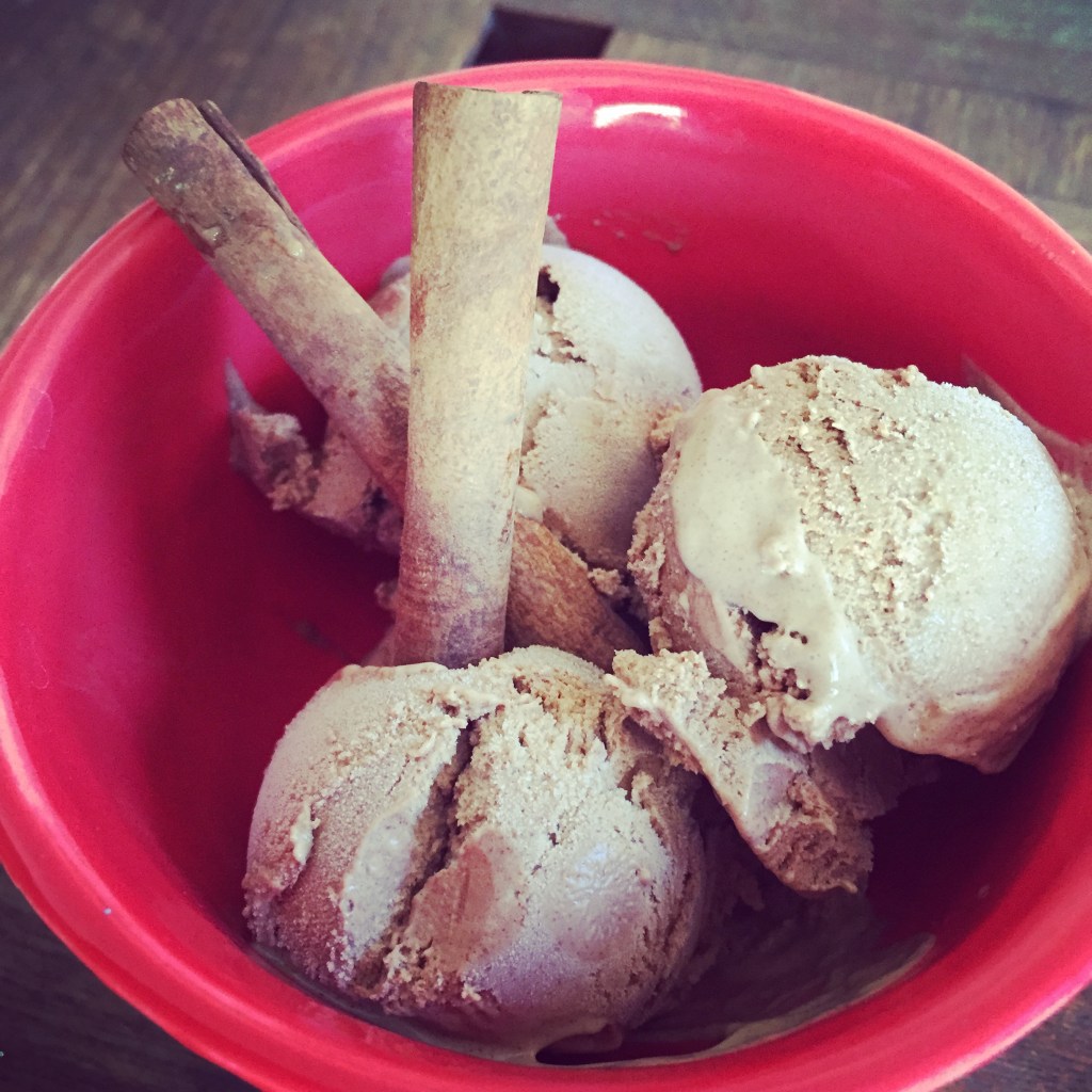 Mayan Chocolate Ice&nbsp;Cream