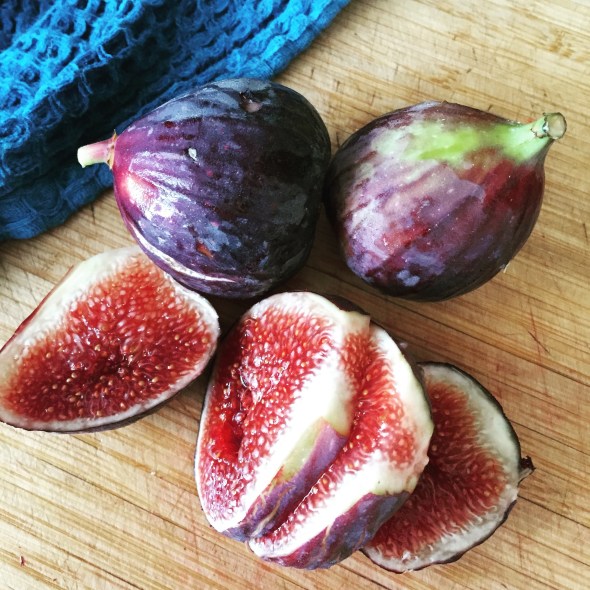 fresh figs