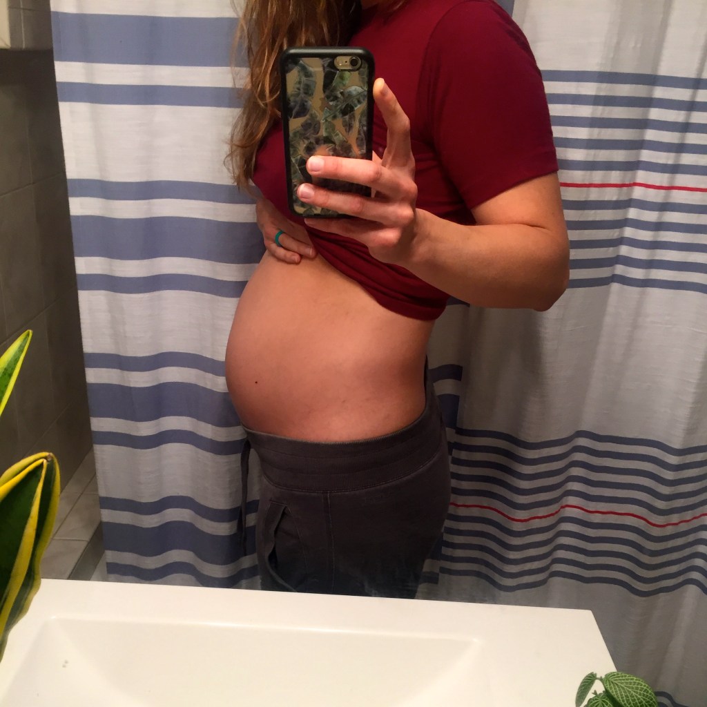 Pregnancy Week 20:&nbsp;Halfway!