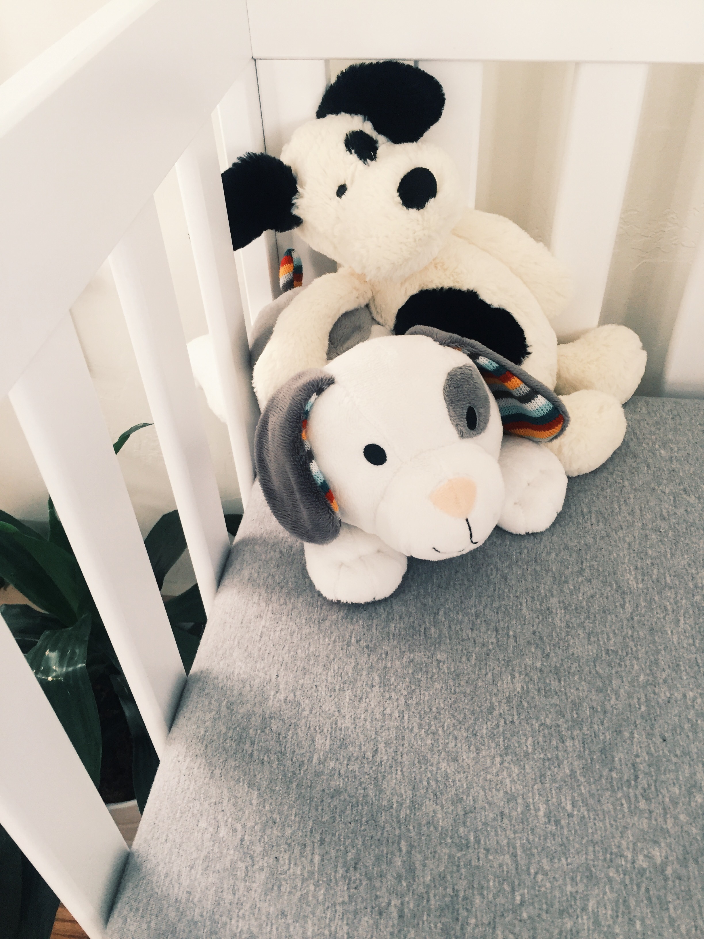 Processed with VSCO with g3 preset